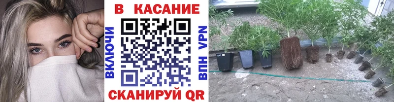 Наркошоп купить Кокаин Амфетамин МЕТАМФЕТАМИН APVP Меф мяу мяу КЕТАМИН Галлюциногенные грибы Кяхта