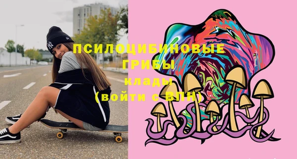 apvp Алексеевка
